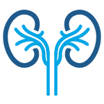 Renal Impairment